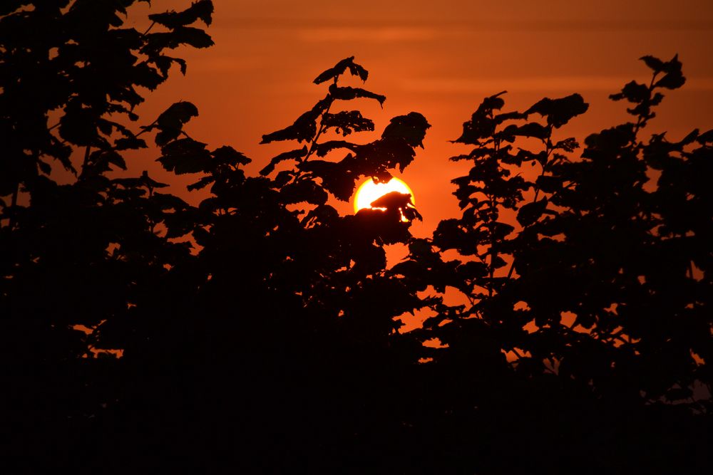 Sonnenuntergang Weserbergland NRW von FTR - Nomad