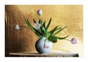 Tulpen - in Farbe und bunt by Mara Faber 