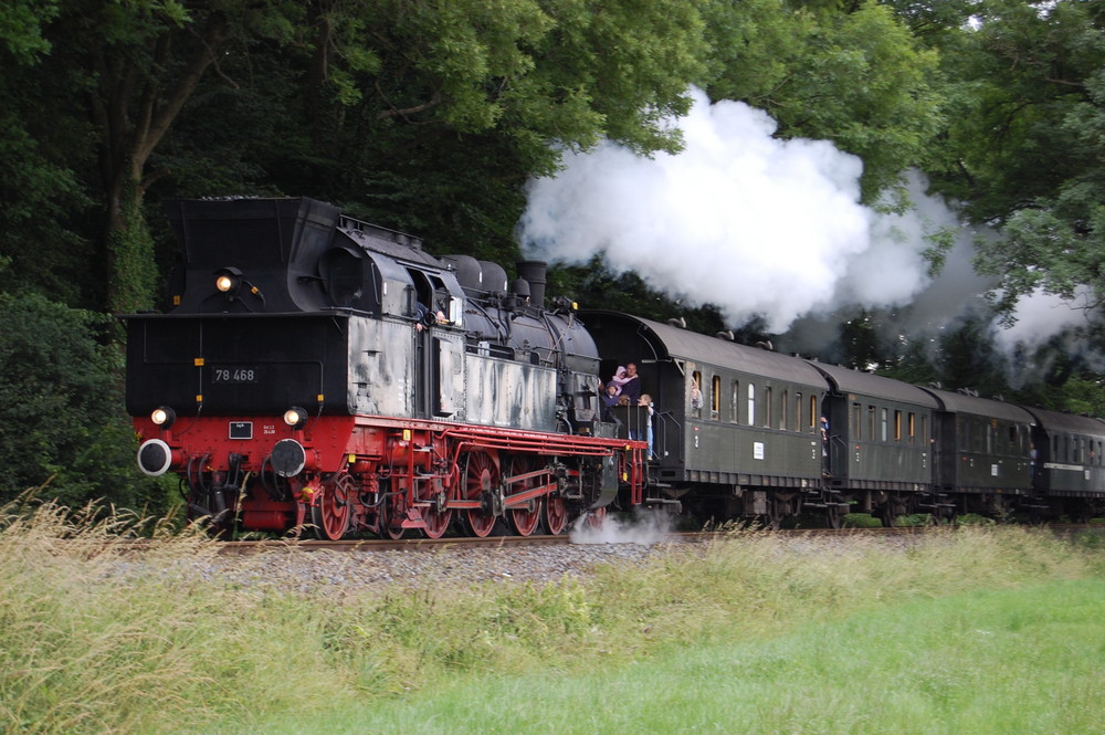 78 468 im Teutoburger Wald