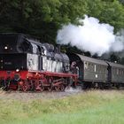 78 468 im Teutoburger Wald