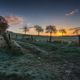 Sonnenaufgang trifft Nachtfrost