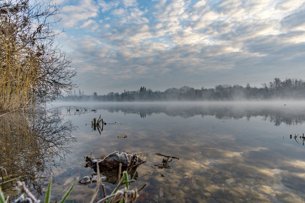 Pennisee von Dominik Rombach