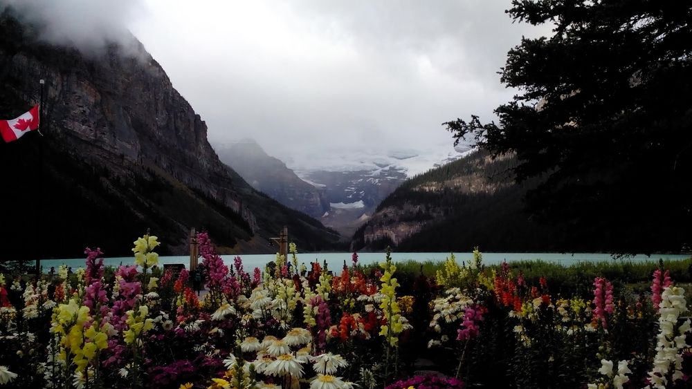 Lake Louise von Fammacys