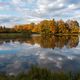 Mitten im Tharandter Wald