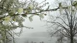 Grey Day in Spring ... Brombachsee by Elevita2