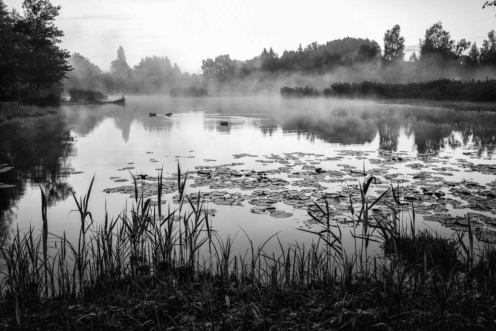 Weihermorgen von Neue Ufer