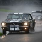 78th Members Meeting 2021 / Pierpoint Cup - Practice / Ford Mustang