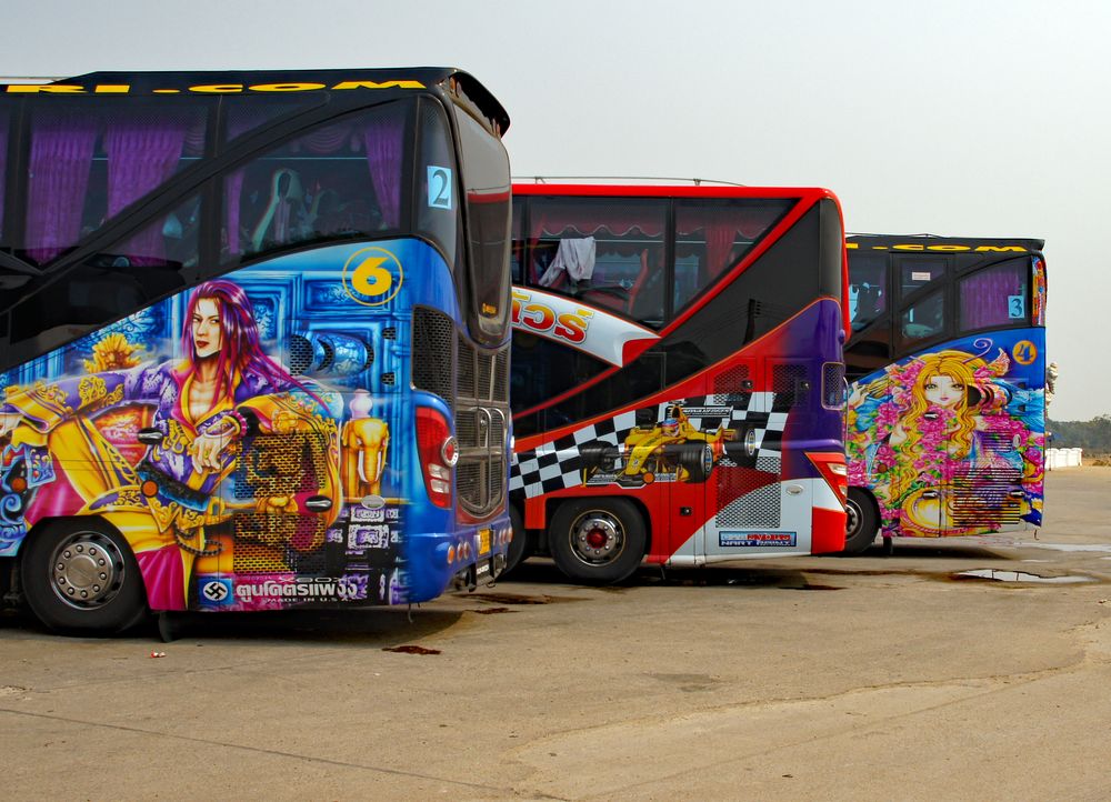 Thai Busse von Werner Rost