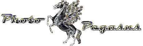 Photo Pegasus