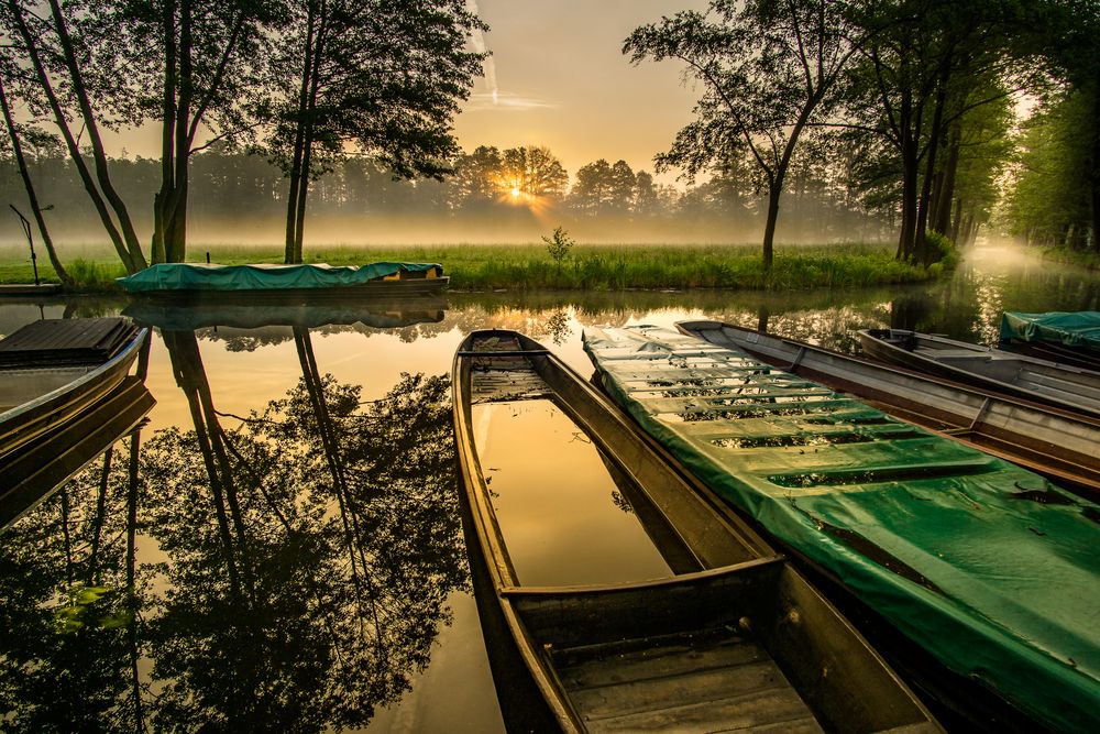 Im Spreewald von picture-insider