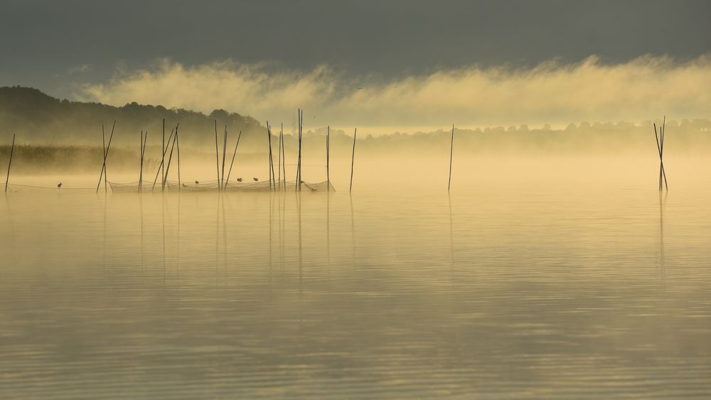 Mystik auf dem Malchiner See von Ines von Frantzius