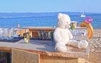 Knut genießt den Klimawandel am Strand von Ajaccio von Michael Steller.