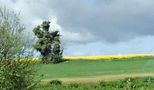 la  nature s'ébroue au printemps  de Al1a80