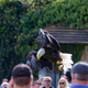 Weikopfseeadler im Anflug auf die Beute 