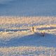 Winterlandschaft .