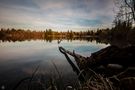 Auensee bei Königsbrunn (4) von Hagaff-Fotografie 