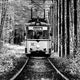 the straenbahn