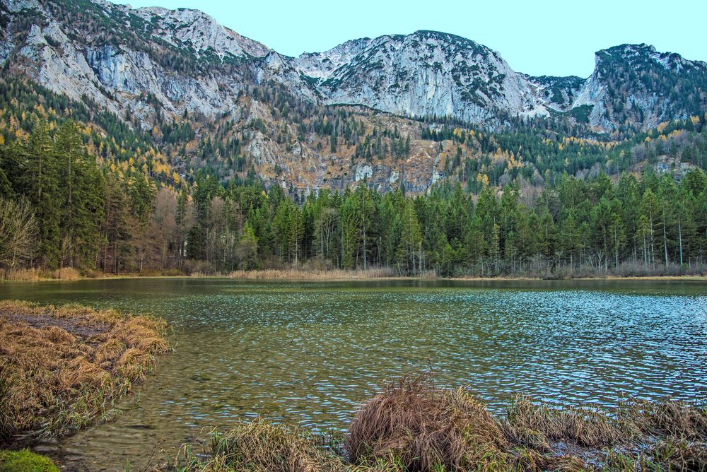 Taferklaussee von Fionet