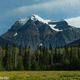 Mt. Robson