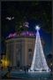 The Dome and the Tree by Stefania Ponzone