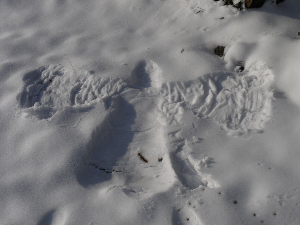 Schneeengel von Dietmar Seiler-Fritsch 