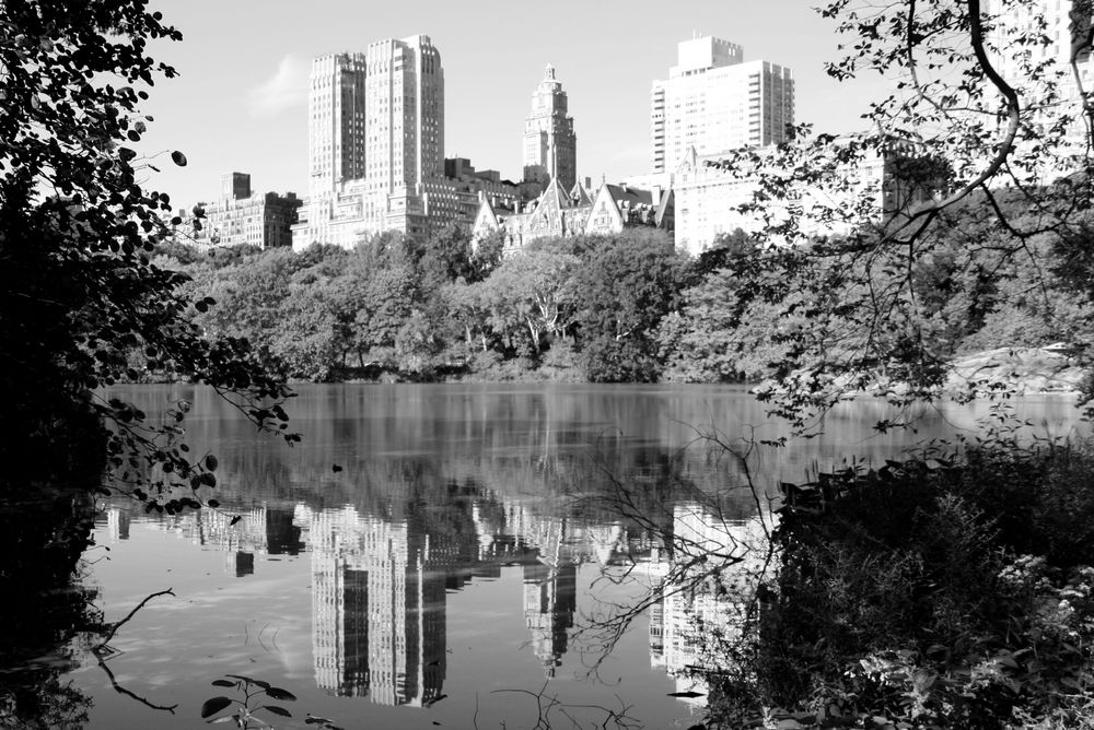 Central Park by Britta fotografiert 