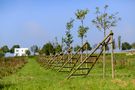 Streuobstwiese Kassel - Wolfsanger von Karsten Socher Fotografie