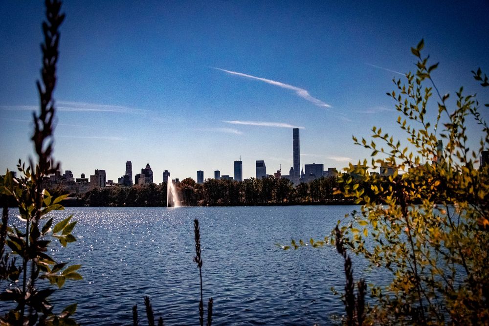 New York Central Park See von Marcel Brose