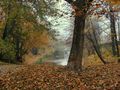 Herbsttag am Teich by Jutta H.