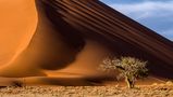 Red Dunes at Sossusvlei by Xenia Ivanoff-Erb