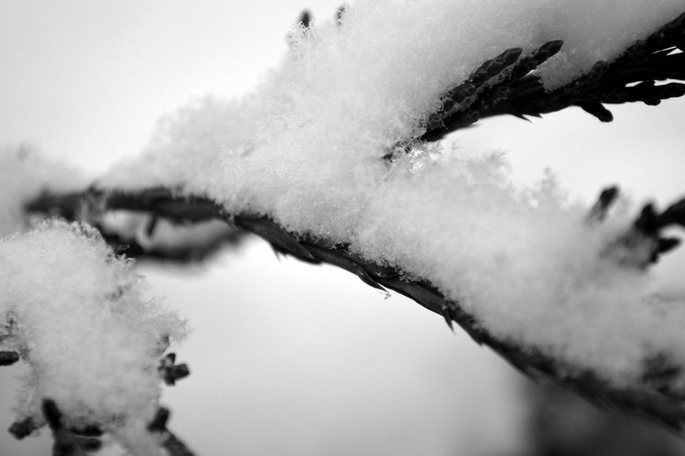 Die Farben des Winters... von Meluzi