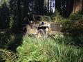 Willys-Jeep MB 1944 von Gerhard Baldauf