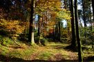 herbstfarben by Joe Himmelrich 