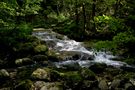 " La petite cascade ." de Jean COLLETTE