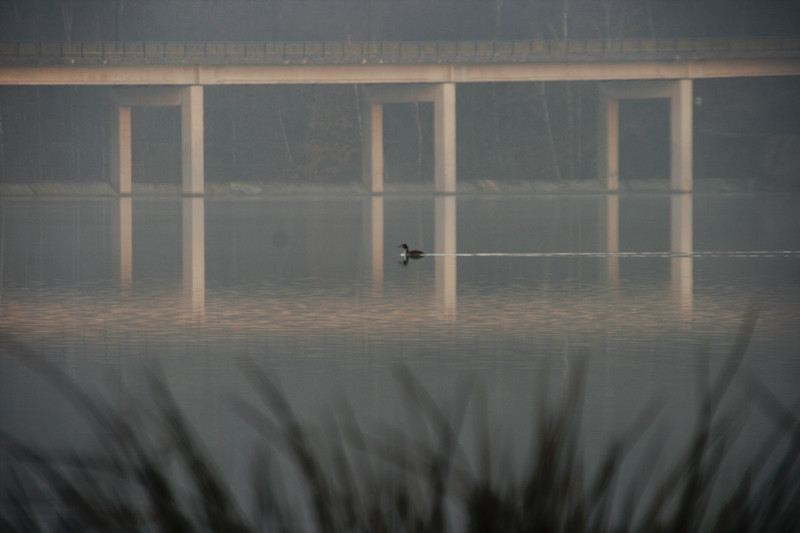 7h15 lac de Feronval