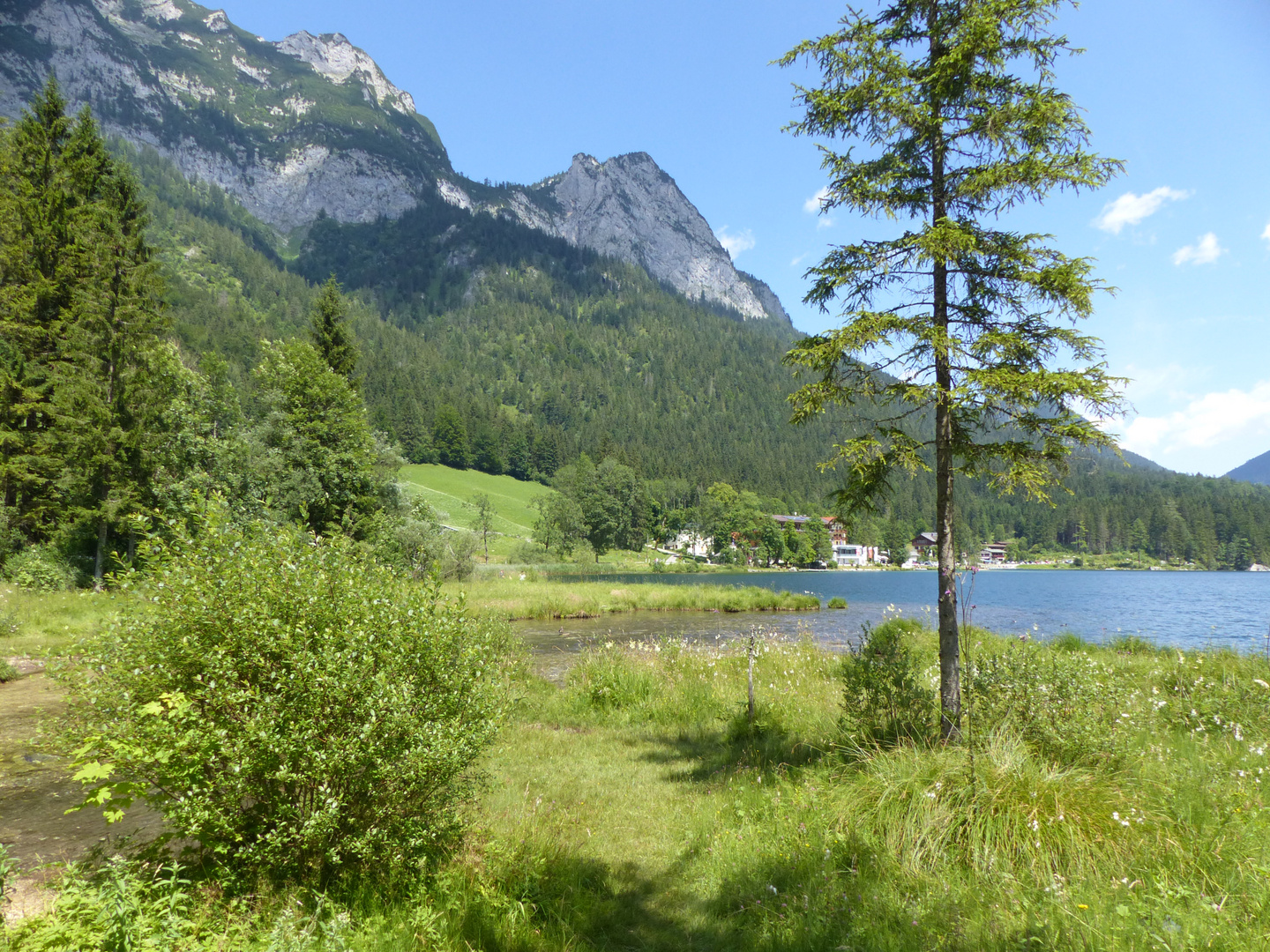 7_Hintersee_001 (11)