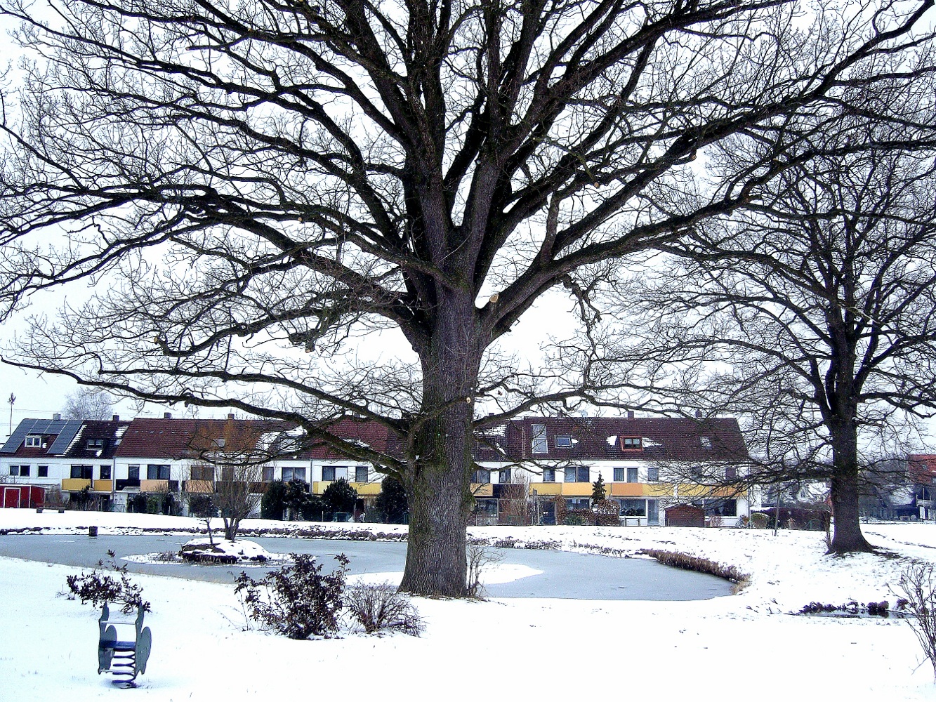 7.März und immernoch keine Aussicht auf Frühling ...