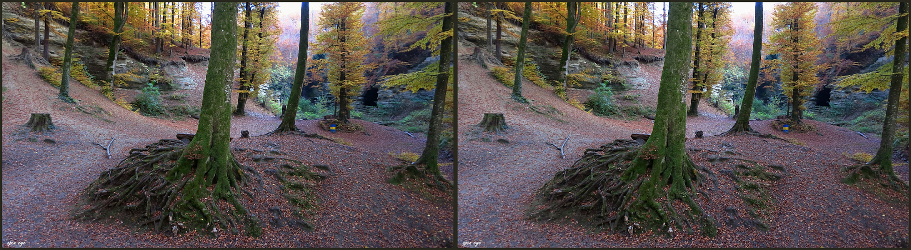 7.Sandsteinhöhlen Gränichen/ Kt. AG / Schweiz - Kreuzblick