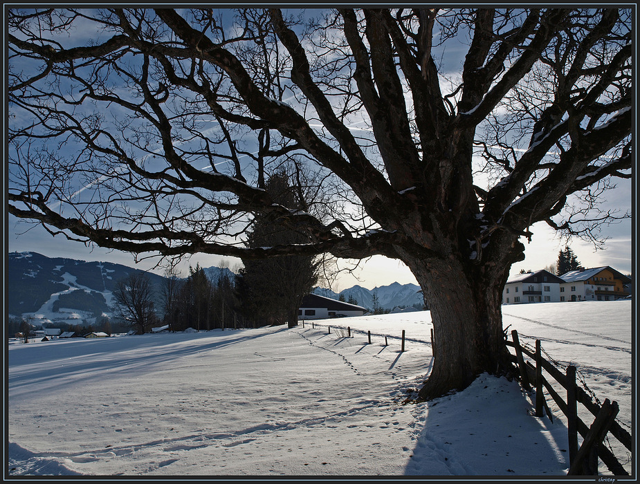 8. Am ersten Tag ...