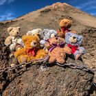 8 Bären vor dem Teide in Teneriffa