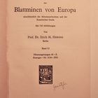 (8) Blattminen - Tischeria ekebladella / M. Hering ...