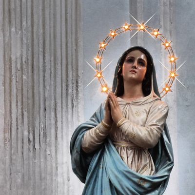 8 dicembre - La festa dell'Immacolata