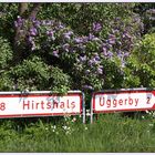 8 Hirtshals / Uggerby 2