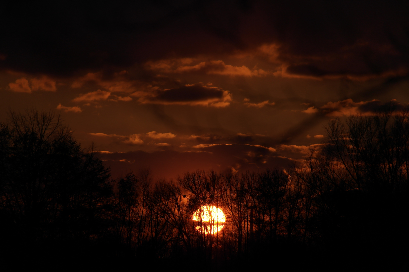 8 Lichtminuten hinter dem Wald