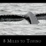 8 Miles to Tofino