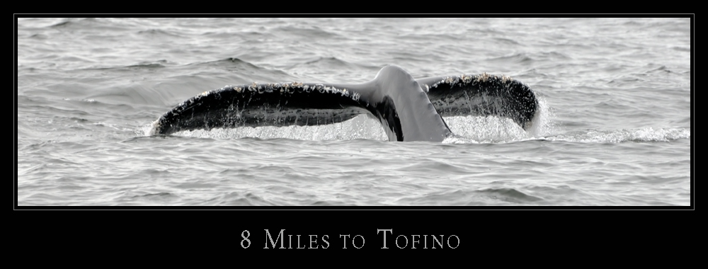 8 Miles to Tofino