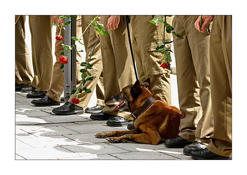 8 Polizisten, 1 Hund und 4 Rosen