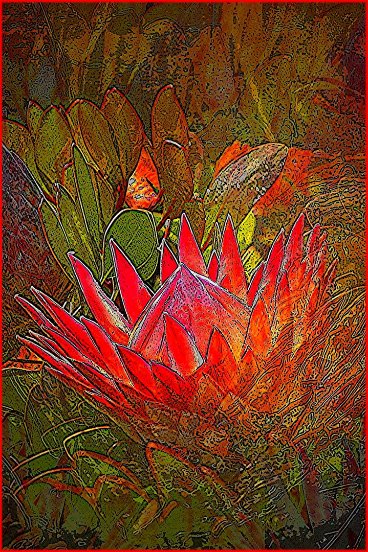 8 PROTEA ORIGINAL JPEG