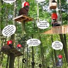 8. Tag - Besuch bei Fidel - Kletterwald 3/4