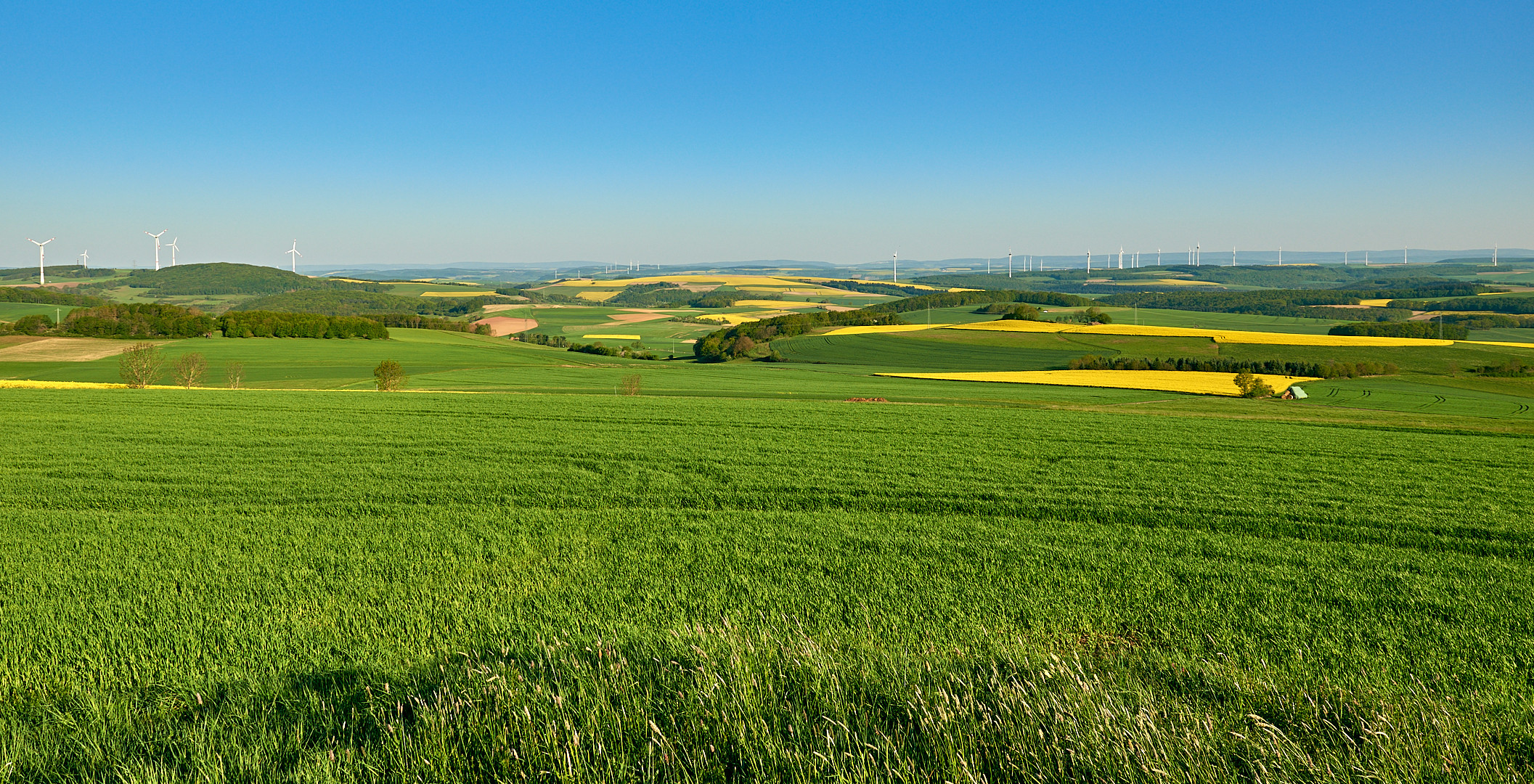 8 Uhr 30, ca. 18 km vor meiner Haustür, die Morgensonne liegt über der Nord-Pfalz, 